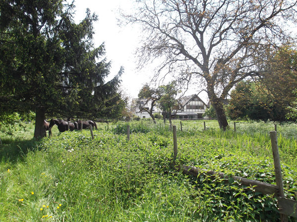 u4-600x450.jpg