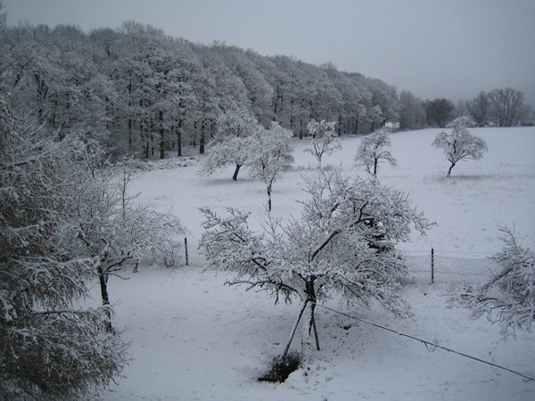 u8-600x450.jpg