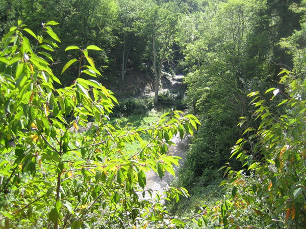 u9-600x450.jpg