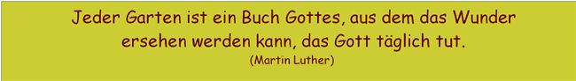 spruch9a-650x92.gif